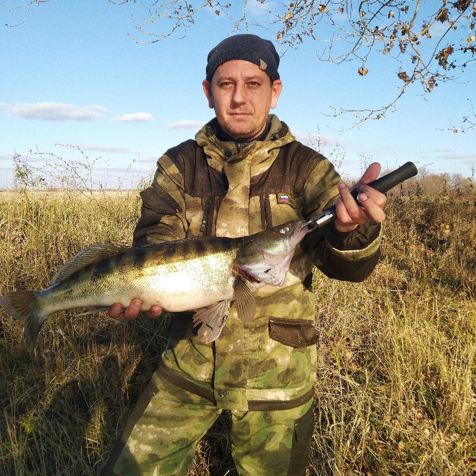 Волгоградский рыбак похвастался рецептом наггетсов из судака (ФОТО)